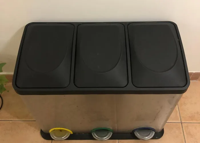 Cici Проживание в семье *