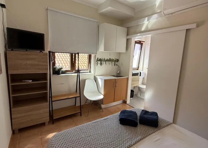 Cici * カミーニャ