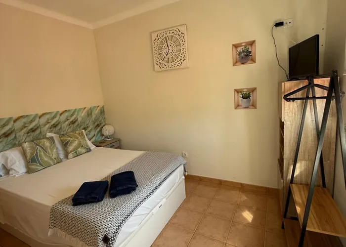 Cici ホームステイ